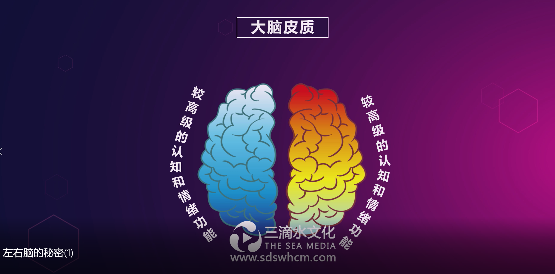 mg動(dòng)畫的出現(xiàn)引領(lǐng)了新一輪營銷方式